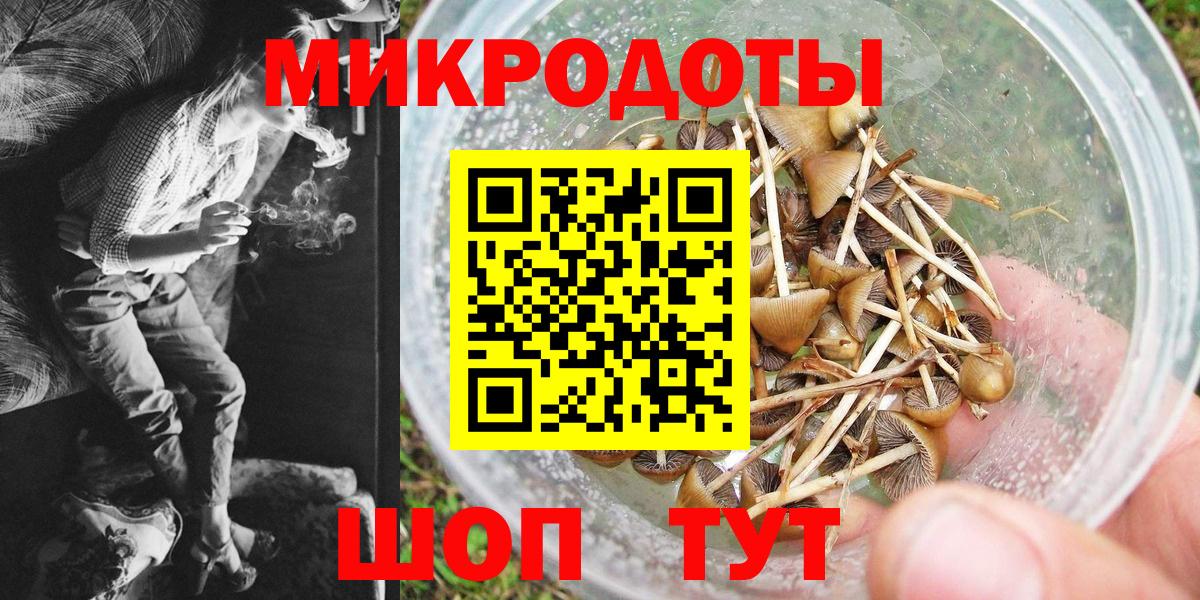 Советский  наркошоп  Вход с VPN  Галлюциногенные грибы прущие грибы  Галлюциногенные грибы MAGIC MUSHROOMS 